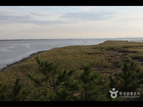 Eulsukdo Island 을숙도 을숙도 TRIPPOSE