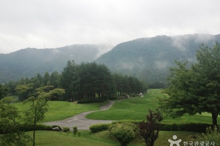 Yongpyong Golf Club 