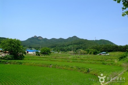 Palbongsan Mountain (Seosan) (팔봉산(서산))