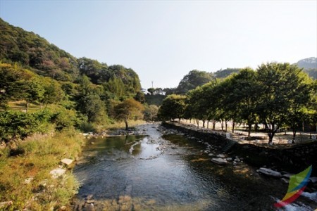 Banghwadong Natural Recreation Forest 