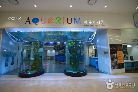 COEX 水族馆