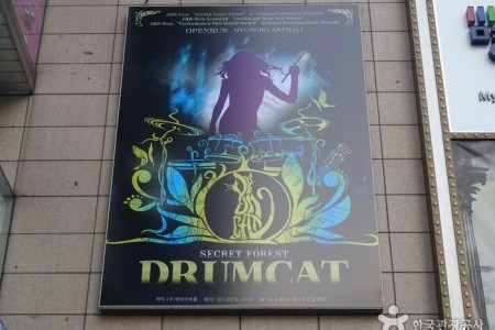 DrumCat Concert