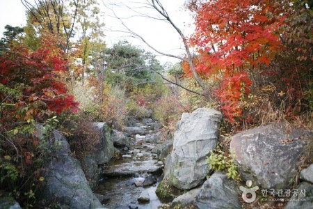 龙山家庭公园