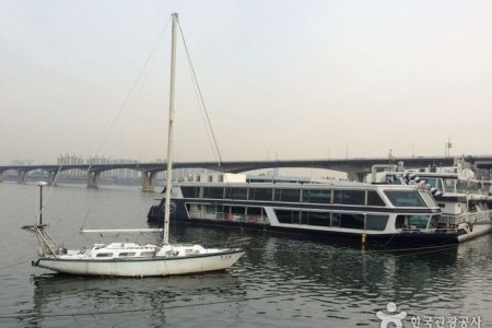 Hangang River Ferry Cruise 