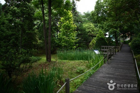 Hongneung Arboretum 