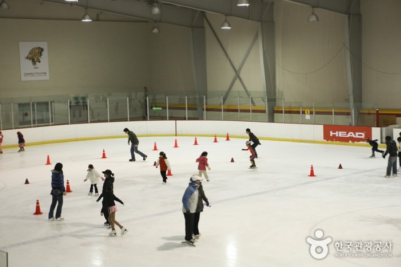 rink-definition-and-meaning-with-pictures-picture-dictionary-books