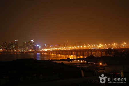 麻浦大橋夜景