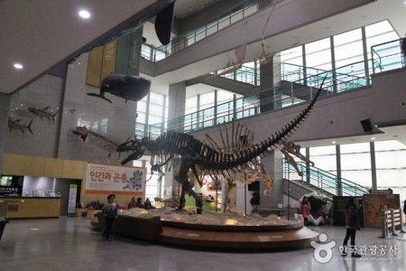 Seodaemun Museum of Natural History 