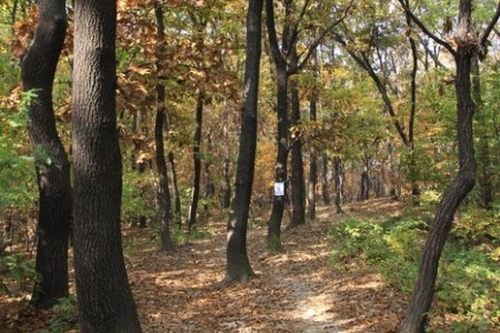 道峰山(도봉산)