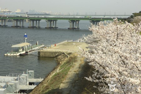 望遠高水敷地