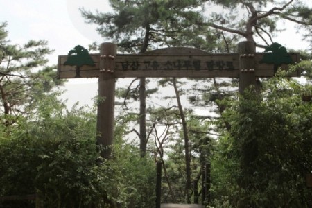 Million People Walking Festival of Namsan 