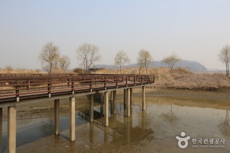 江西湿地生態公園