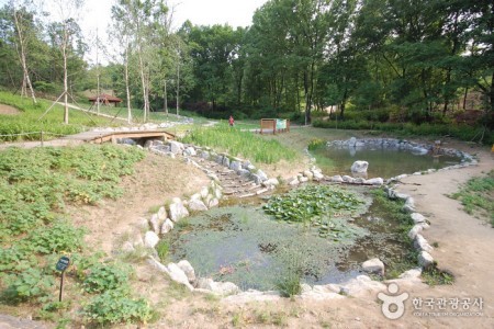 Gwanaksan Mountain Ecological Park (관악산 생태공원)