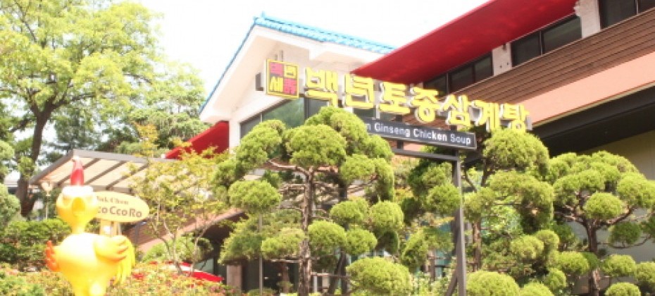 百年土种参鸡汤北村店 백년토종삼계탕북촌점 Trippose