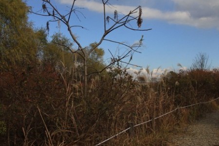 Godeok-dong Eco-scape Preservation Area 