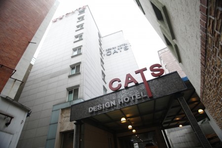 Hotel Cats - Goodstay 