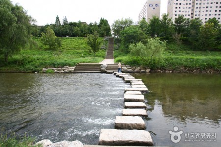 良才川の道（양재천길）