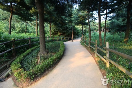 南山野外植物园