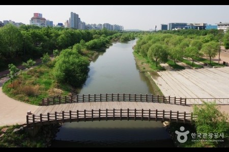 汝矣島セッカン生態公園（여의도샛강생태공원）