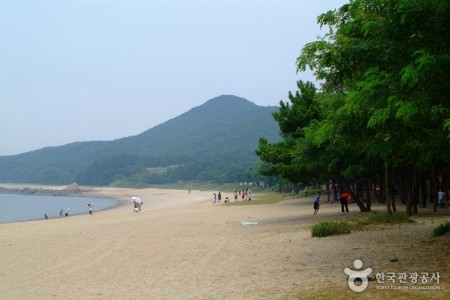 实尾海水浴场