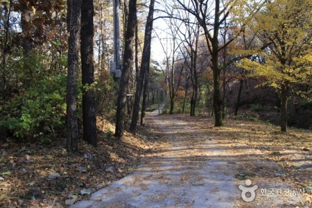 高丽山고려산