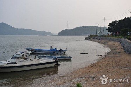 巨蚕浦海边