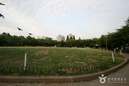 Sinteuri Park (신트리공원)