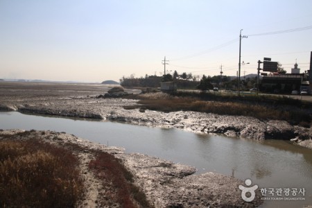 [Ganghwa Nadeul-gil Course 8] A Bird Watching Road ([강화 나들길 제8코스] 철새 보러 가는 길)