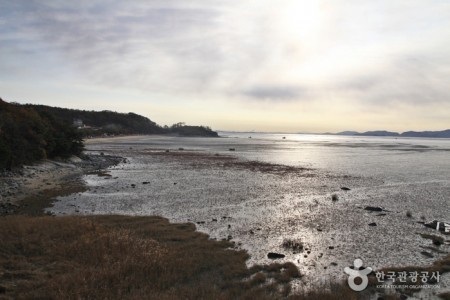 [Ganghwa Nadeul-gil Course 6] The Birthplace of Hwanam ([강화 나들길 제6코스] 화남생가 가는 길)