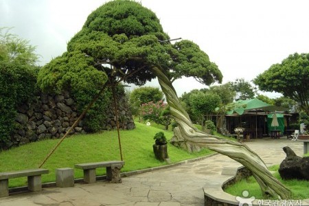 盆栽芸術園