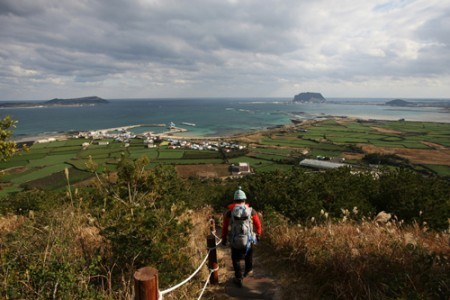 Jeju Olle Walking Festival 