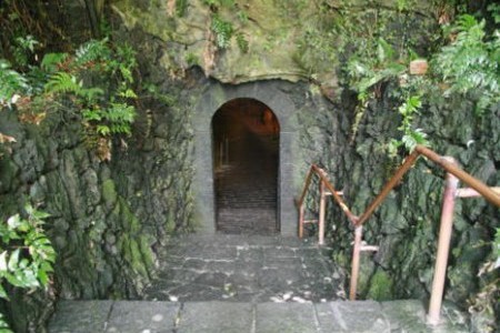 雙龍窟(Hallim Park) 