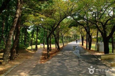 沙羅峰公園