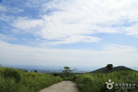 濟州島觀光特區(제주도 관광특구)