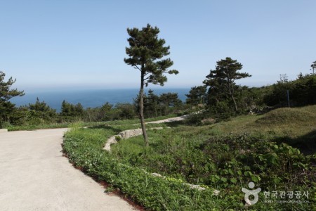 Jeju Olle Trail - Route 18-1 (Chujado Island Olle) (제주올레 18-1코스 (추자도 올레))