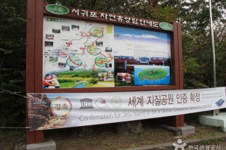 Seogwipo Natural Recreation Forest 