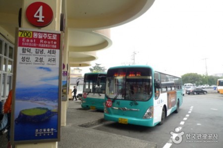 Jeju Intercity Bus Terminal 