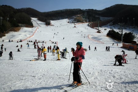 陽智Pine渡假村滑雪場