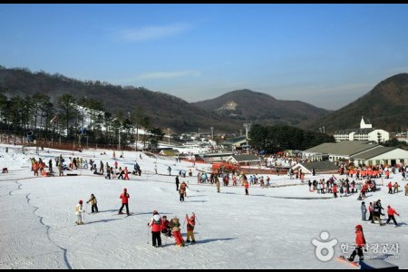 Jisan Forest Ski Resort 