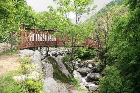 Chungnyeongsan Recreational Forest 