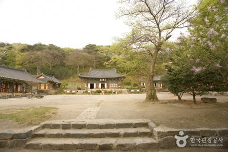 青龙寺(청룡사)