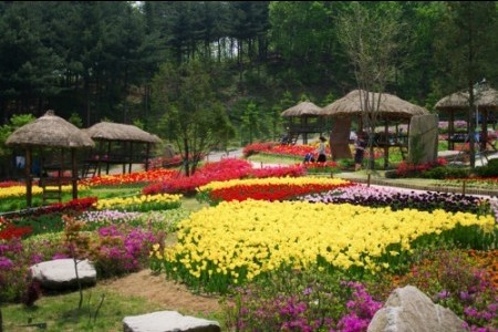 Yongin Agricultural Theme Park 