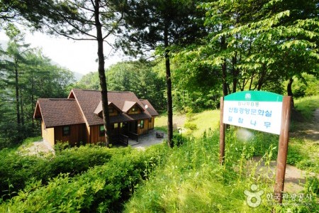 Jungmisan Recreational Forest (중미산자연휴양림)