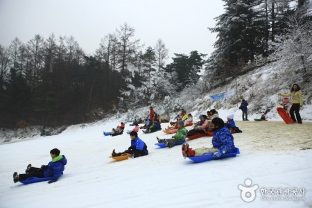 杨平韩华度假村雪橇场