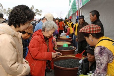 Paju Jangdan Soybean Festival 