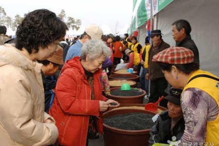 坡州長湍豆祭り