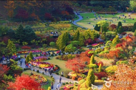 アチムゴヨ樹木園