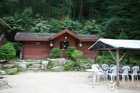 Gungmangbong Recreational Forest (Pocheon) 