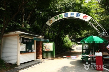 Natural Camp Site in Seoul Grand Park 