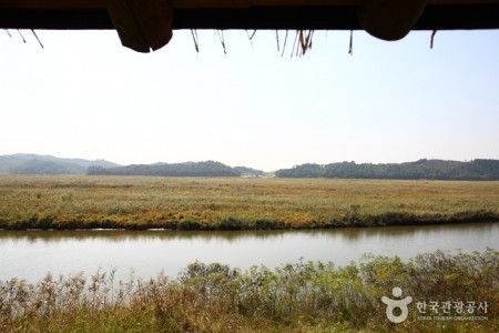 Ansan Reed Marsh Park (안산갈대습지공원)